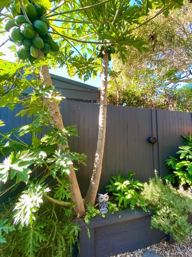 The Mitchell Bondi Garden 4 Apartment Сидни Екстериор снимка